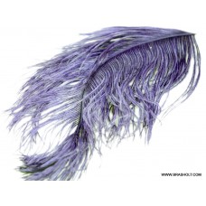 Ostrich herl Purple