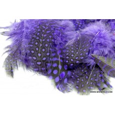 Perlehøne strung purple