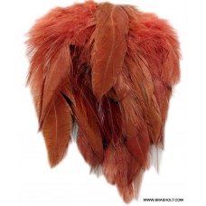 Schlappenfeathers Brown