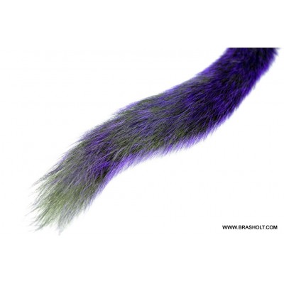 Silver Tippet Egern Purple